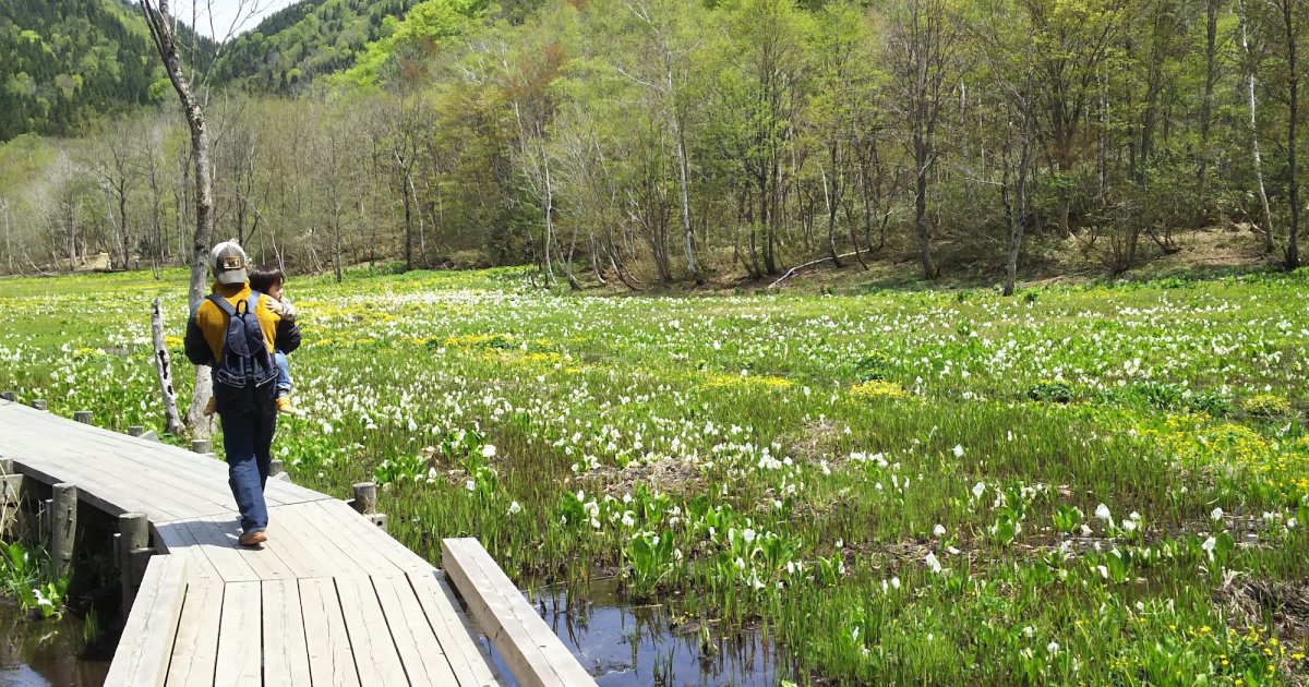 🏞️ 이케가하라 습원(이케가하라 시츠겐) 이미지 1